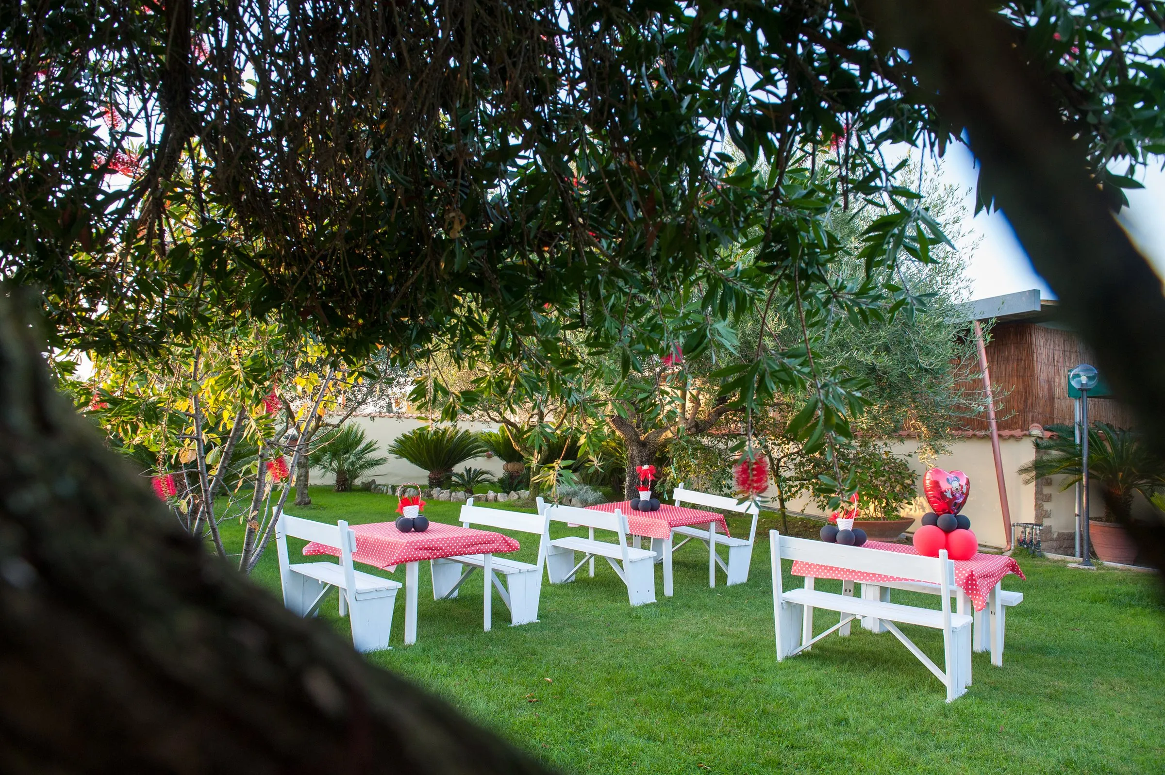 Tavoli da giardino allestiti a festa sotto gli ulivi