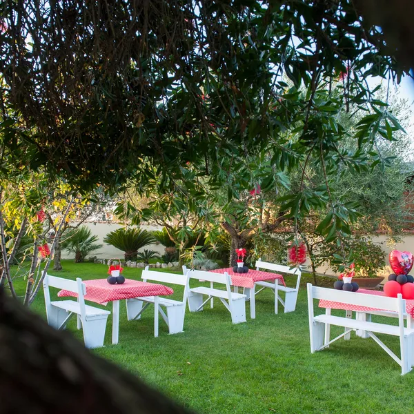 Tavoli da giardino allestiti a festa sotto gli ulivi