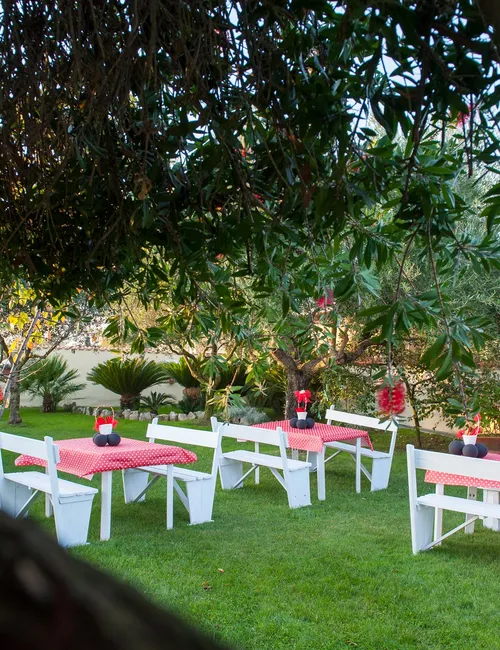 Tavoli da giardino allestiti a festa sotto gli ulivi