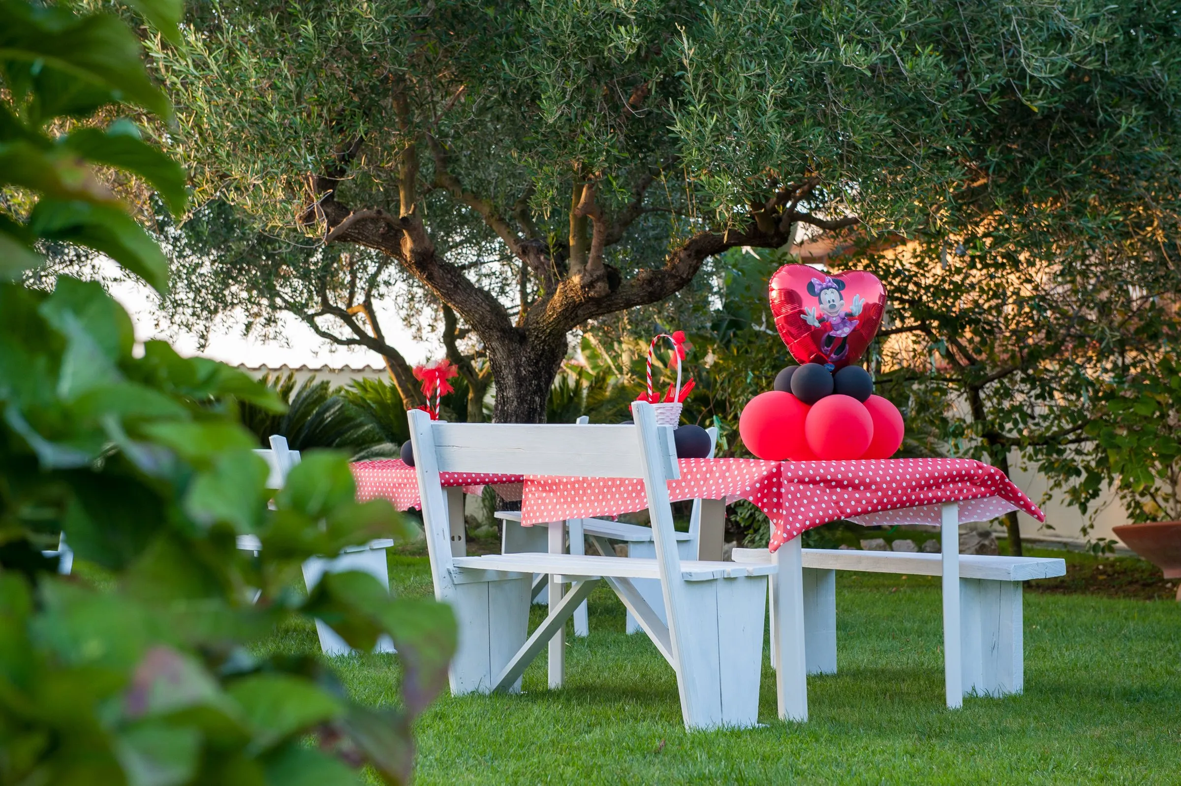 Tavolo da giardino apparecchiato con decorazioni a palloncini, tra gli ulivi