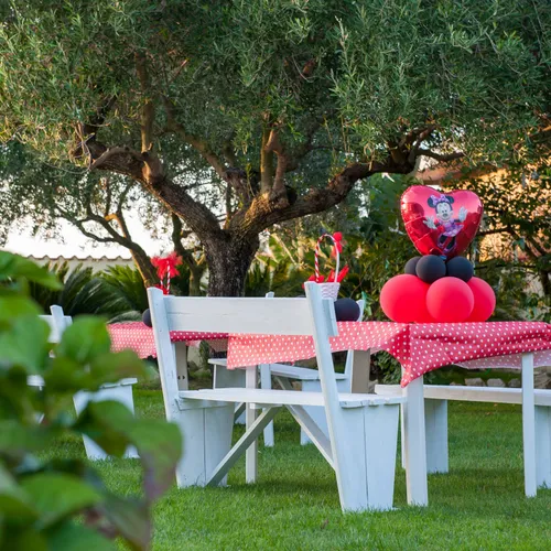 Tavolo da giardino apparecchiato con decorazioni a palloncini, tra gli ulivi